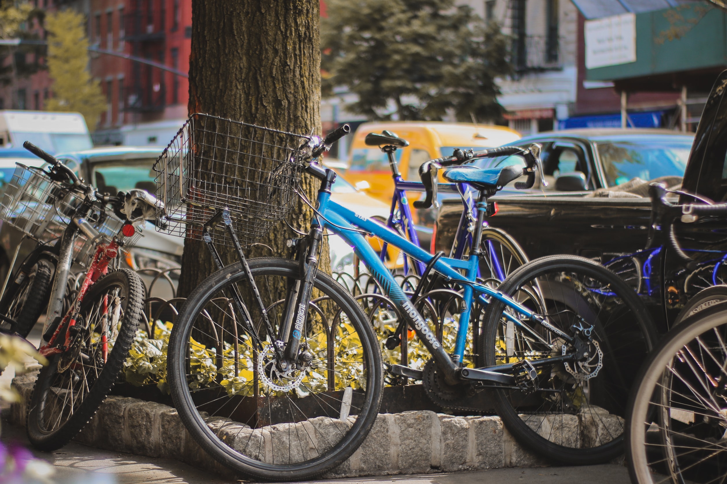 Bicycle Registration